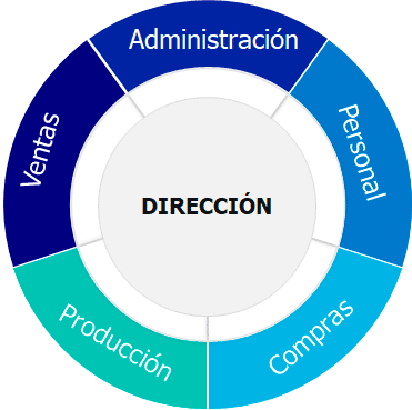 Estructura Oragizativa en estado embrionario