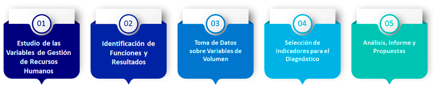 Fases Dimensionamiento de Recursos Humanos