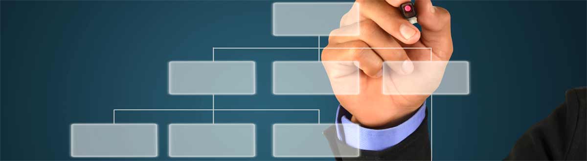 Estructura organizativa - organigrama