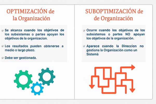 Optimización y suboptimización